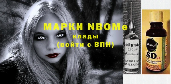крисы Коряжма