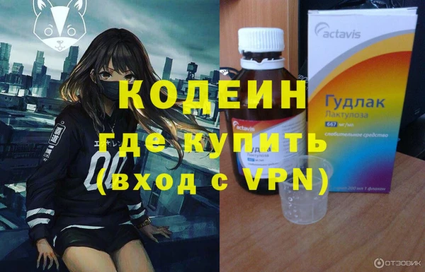 крисы Коряжма