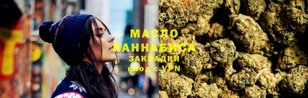 крисы Коряжма