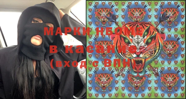 крисы Коряжма