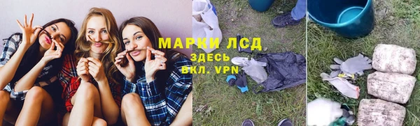 крисы Коряжма